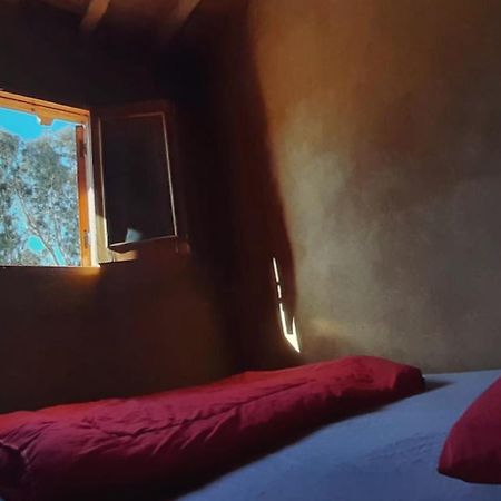 Tunis Camp Al Fayyūm Dış mekan fotoğraf