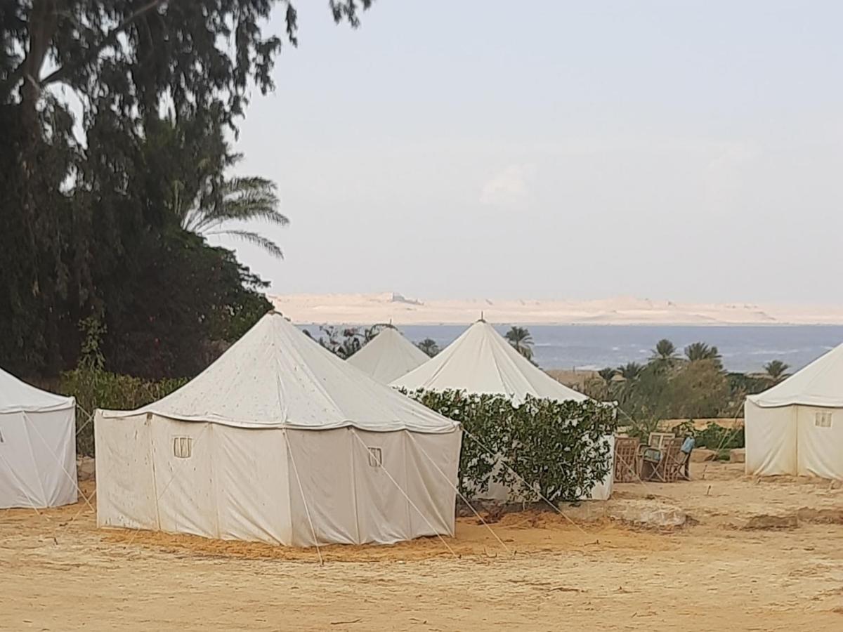 Tunis Camp Al Fayyūm Oda fotoğraf