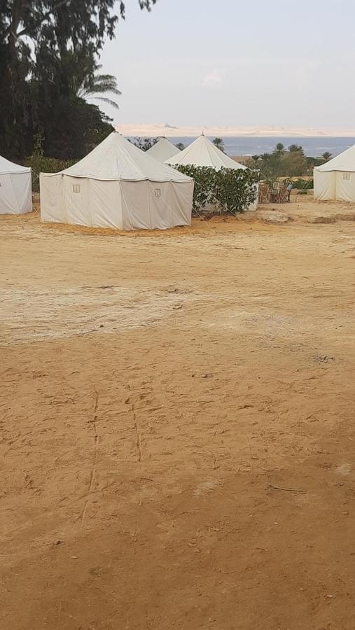 Tunis Camp Al Fayyūm Dış mekan fotoğraf