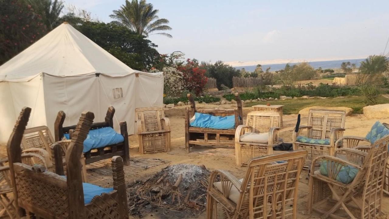 Tunis Camp Al Fayyūm Dış mekan fotoğraf